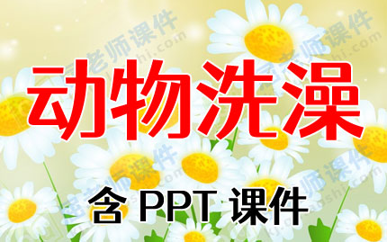 Сѧ̰ϴ衷PPTμͼƬ