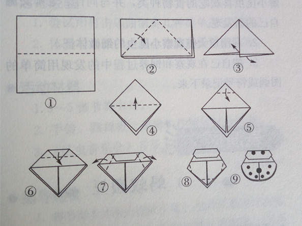 能看懂简单的折纸步骤图并进行折叠1能用谷折,剪的方法折出瓢虫